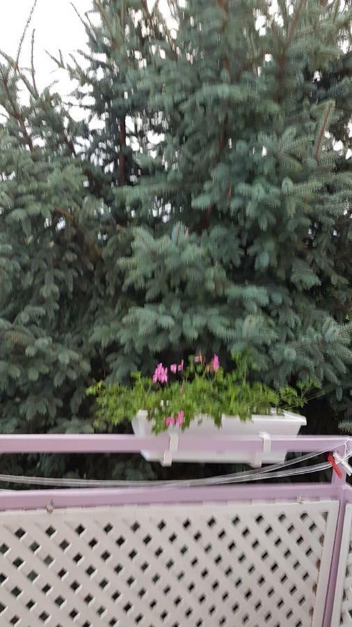 Pension Óvári Bük Kültér fotó